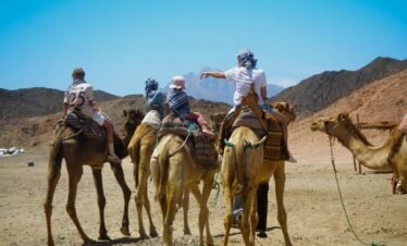 Discover Egypt in the traditional way – on the back of a camel